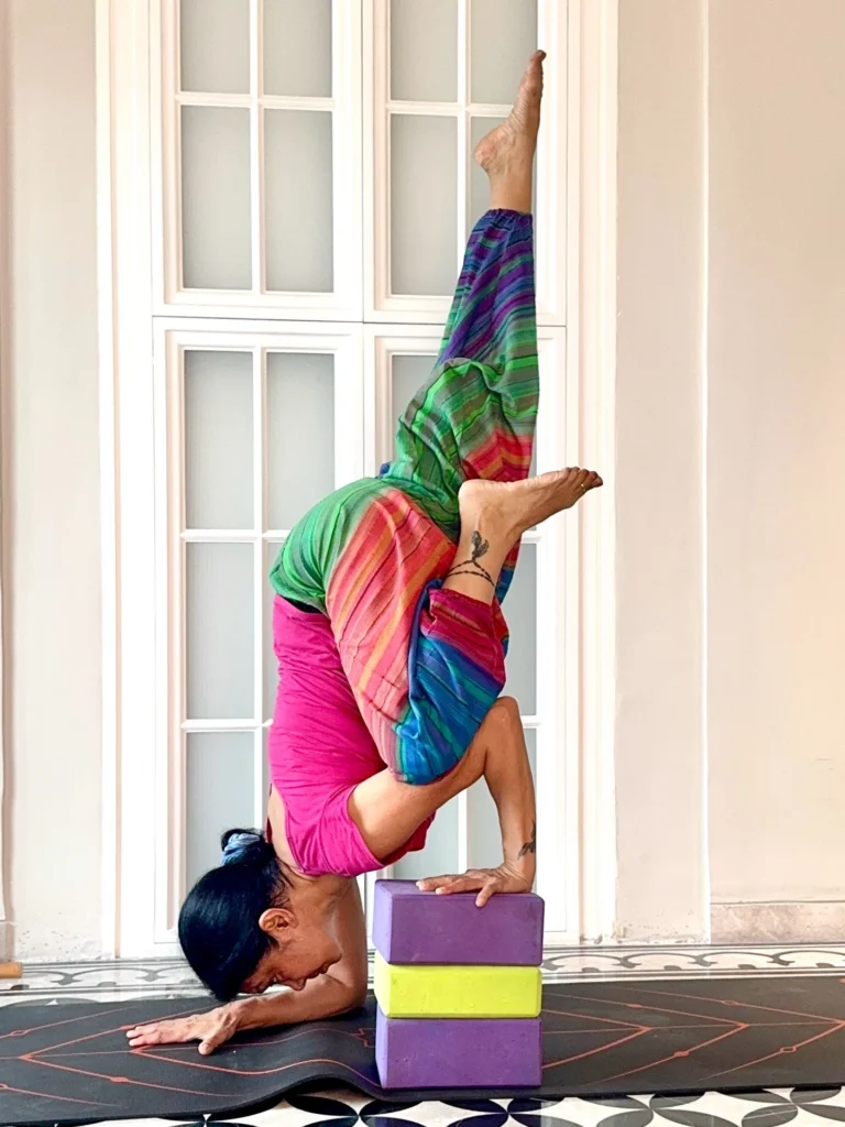 Supported Forearm Balance with Yoga Blocks 